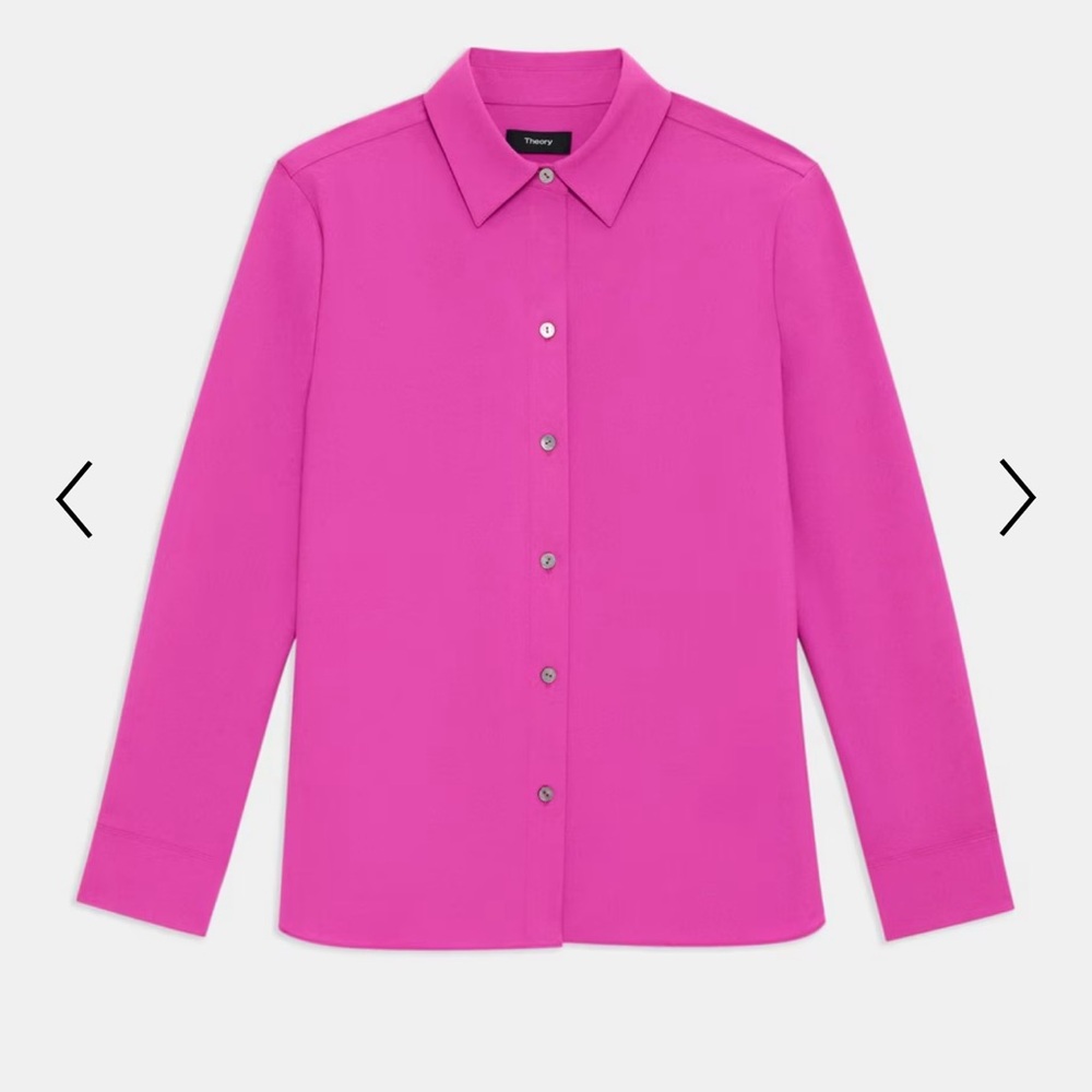 Theory Pink button Down